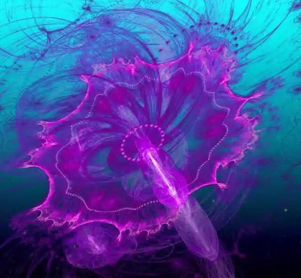 ˮĸͺˮһ